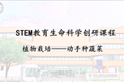 STEM教育生命科学创研课程 | ​“蔬”香为伴 “勤”满校园　植物栽培项目活动——动手种蔬菜